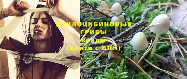 таблы Бородино
