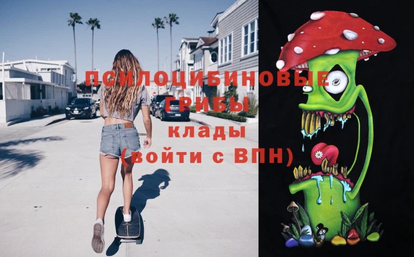 таблы Бородино