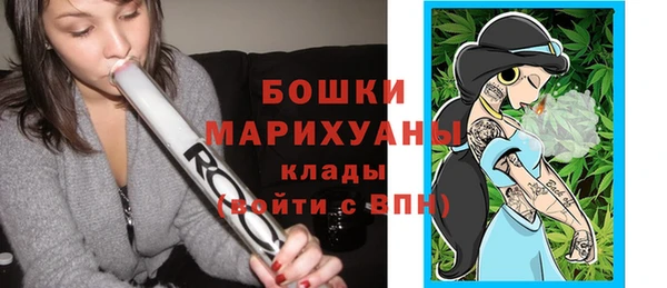 таблы Бородино