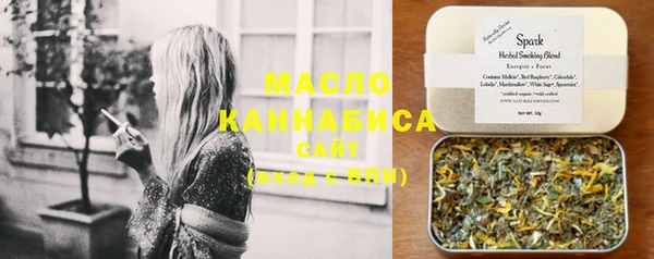 таблы Бородино
